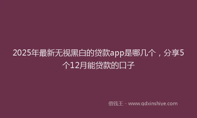 2025年最新无视黑白的贷款app是哪几个，分享5个12月能贷款的口子