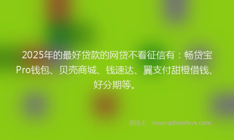 2025年的最好贷款的网贷不看征信有：畅贷宝Pro钱包、贝壳商城、钱速达、翼支付甜橙借钱、好分期等。