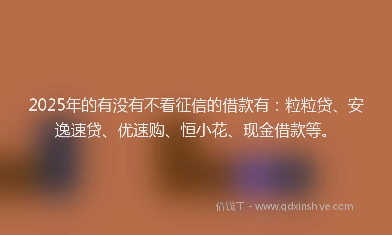 2025年的有没有不看征信的借款有：粒粒贷、安逸速贷、优速购、恒小花、现金借款等。