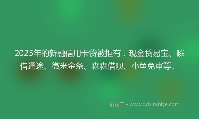 2025年的新融信用卡贷被拒有：现金贷易宝、瞬借通途、微米金条、森森借呗、小鱼免审等。