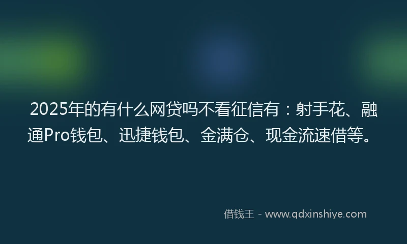 2025年的有什么网贷吗不看征信有：射手花、融通Pro钱包、迅捷钱包、金满仓、现金流速借等。
