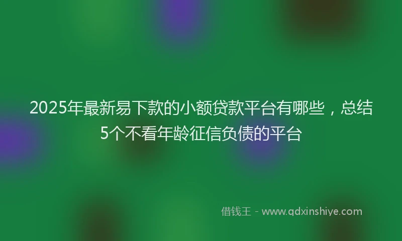 2025年最新易下款的小额贷款平台有哪些，总结5个不看年龄征信负债的平台