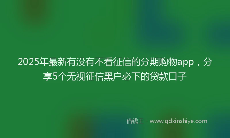 2025年最新有没有不看征信的分期购物app，分享5个无视征信黑户必下的贷款口子