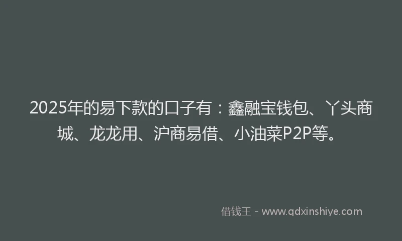 2025年的易下款的口子有：鑫融宝钱包、丫头商城、龙龙用、沪商易借、小油菜P2P等。
