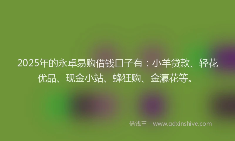2025年的永卓易购借钱口子有：小羊贷款、轻花优品、现金小站、蜂狂购、金瀛花等。
