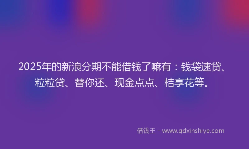 2025年的新浪分期不能借钱了嘛有：钱袋速贷、粒粒贷、替你还、现金点点、桔享花等。