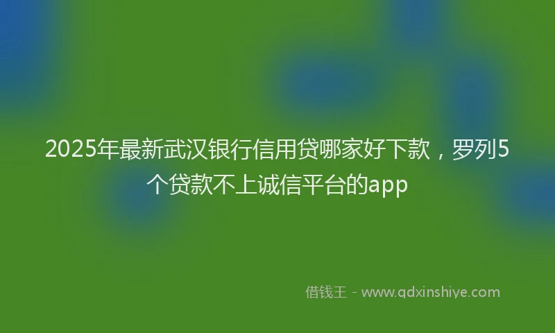 2025年最新武汉银行信用贷哪家好下款，罗列5个贷款不上诚信平台的app