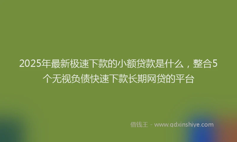 2025年最新极速下款的小额贷款是什么，整合5个无视负债快速下款长期网贷的平台