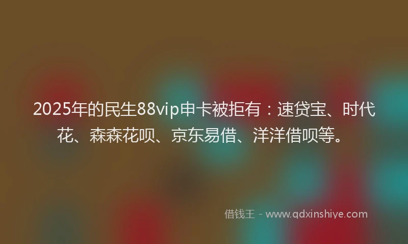 2025年的民生88vip申卡被拒有：速贷宝、时代花、森森花呗、京东易借、洋洋借呗等。