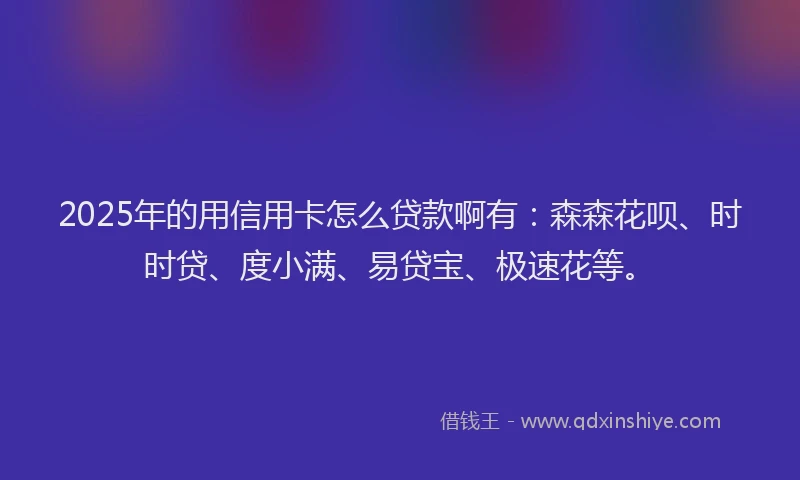2025年的用信用卡怎么贷款啊有：森森花呗、时时贷、度小满、易贷宝、极速花等。