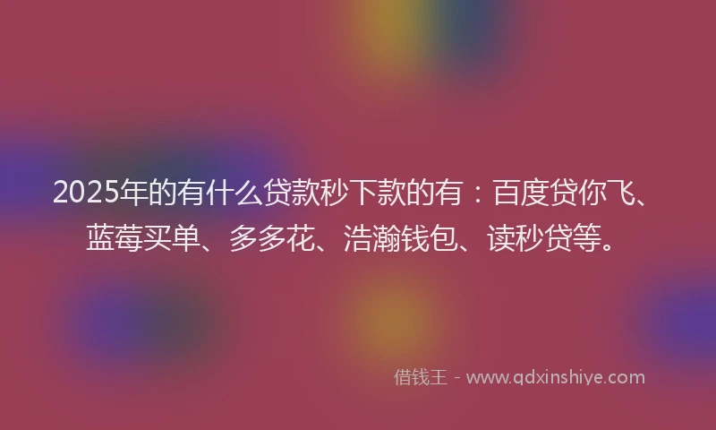 2025年的有什么贷款秒下款的有：百度贷你飞、蓝莓买单、多多花、浩瀚钱包、读秒贷等。