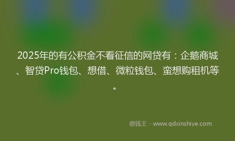 2025年的有公积金不看征信的网贷有：企鹅商城、智贷Pro钱包、想借、微粒钱包、蛮想购租机等。