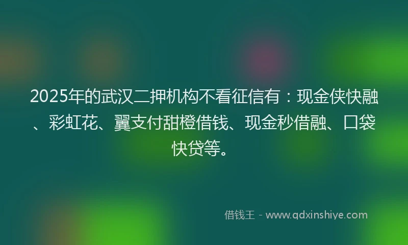 2025年的武汉二押机构不看征信有：现金侠快融、彩虹花、翼支付甜橙借钱、现金秒借融、口袋快贷等。