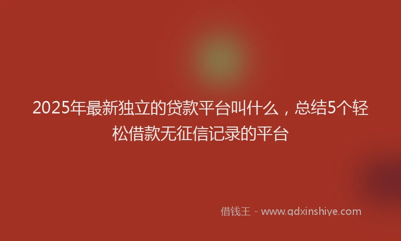 2025年最新独立的贷款平台叫什么，总结5个轻松借款无征信记录的平台