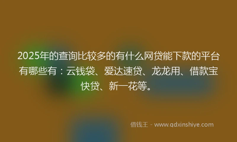 2025年的查询比较多的有什么网贷能下款的平台有哪些有：云钱袋、爱达速贷、龙龙用、借款宝快贷、新一花等。