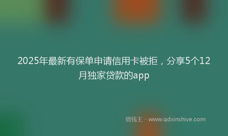 2025年最新有保单申请信用卡被拒，分享5个12月独家贷款的app