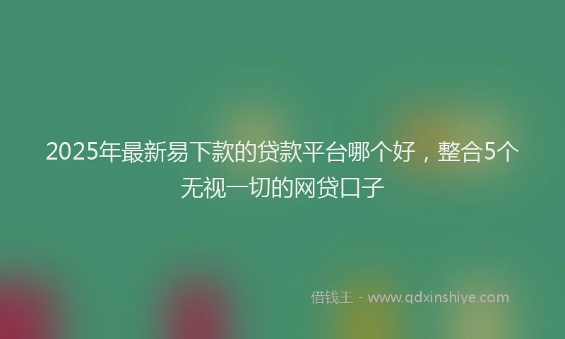 2025年最新易下款的贷款平台哪个好，整合5个无视一切的网贷口子