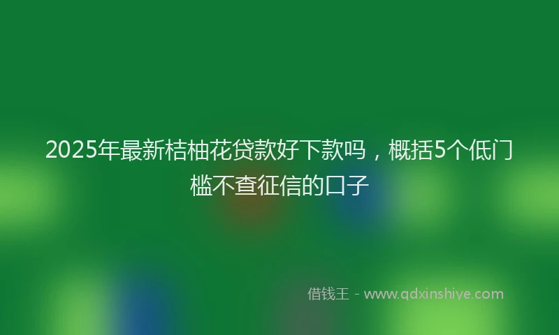 2025年最新桔柚花贷款好下款吗，概括5个低门槛不查征信的口子