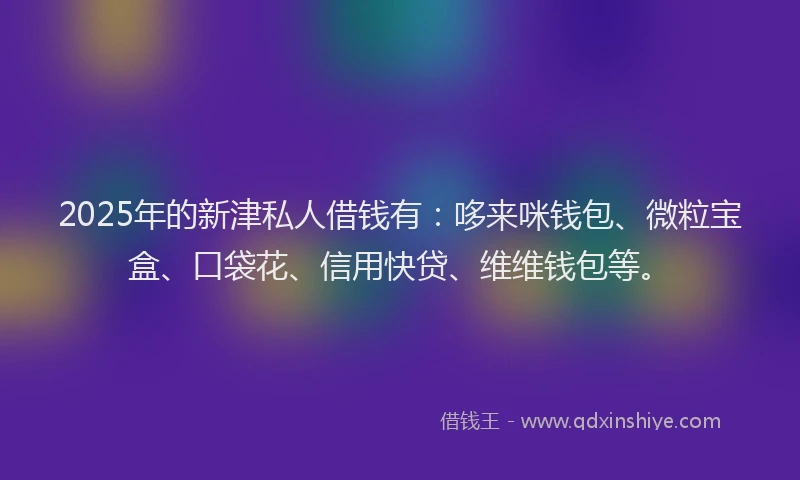 2025年的新津私人借钱有：哆来咪钱包、微粒宝盒、口袋花、信用快贷、维维钱包等。