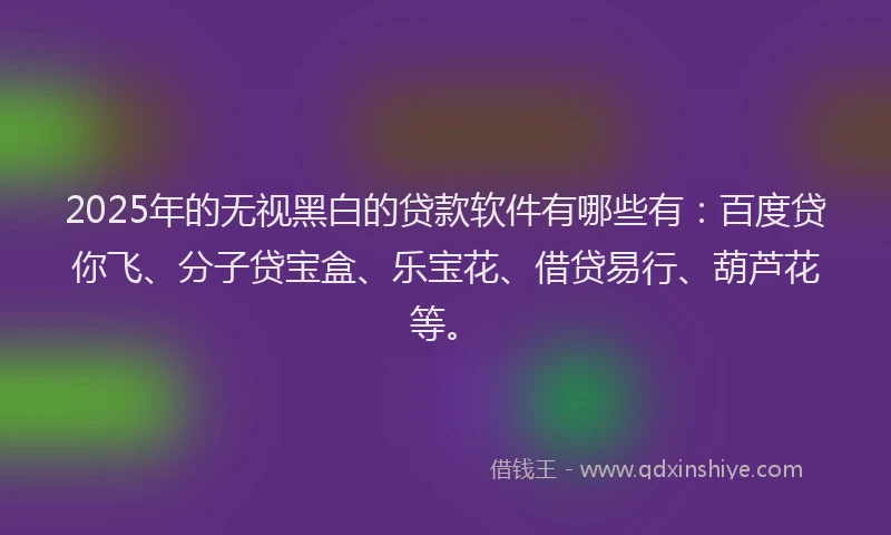 2025年的无视黑白的贷款软件有哪些有：百度贷你飞、分子贷宝盒、乐宝花、借贷易行、葫芦花等。