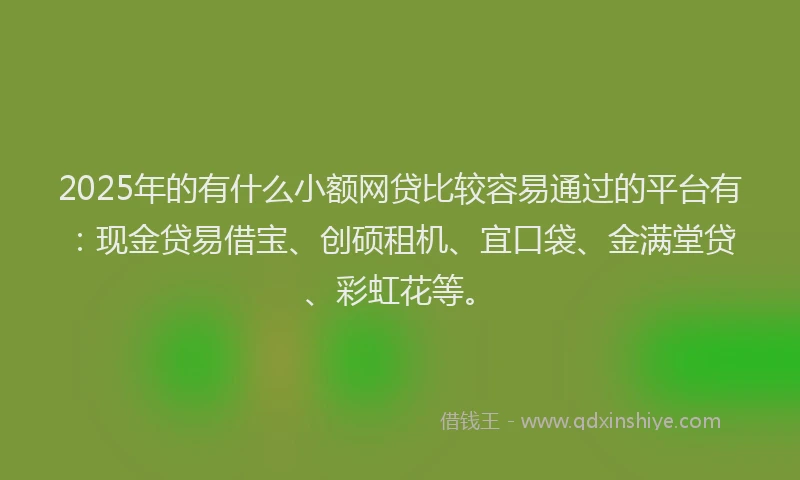 2025年的有什么小额网贷比较容易通过的平台有：现金贷易借宝、创硕租机、宜口袋、金满堂贷、彩虹花等。