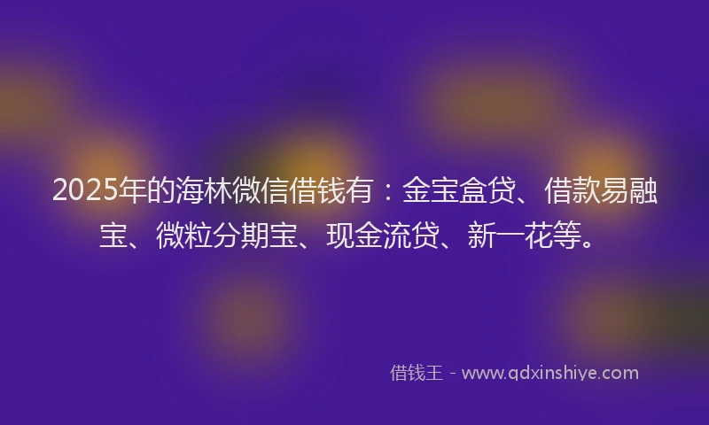2025年的海林微信借钱有：金宝盒贷、借款易融宝、微粒分期宝、现金流贷、新一花等。