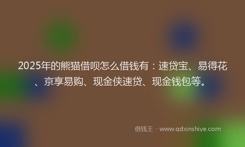 2025年的熊猫借呗怎么借钱有：速贷宝、易得花、京享易购、现金侠速贷、现金钱包等。