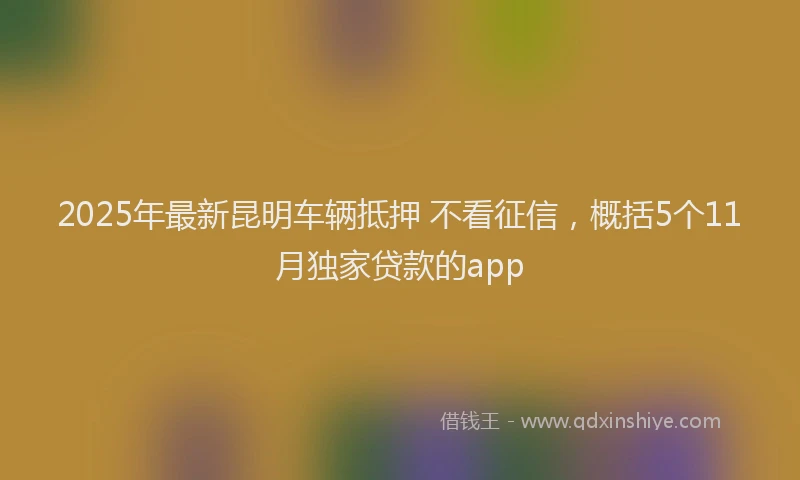 2025年最新昆明车辆抵押 不看征信，概括5个11月独家贷款的app