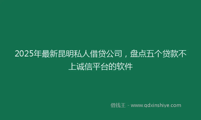 2025年最新昆明私人借贷公司，盘点五个贷款不上诚信平台的软件