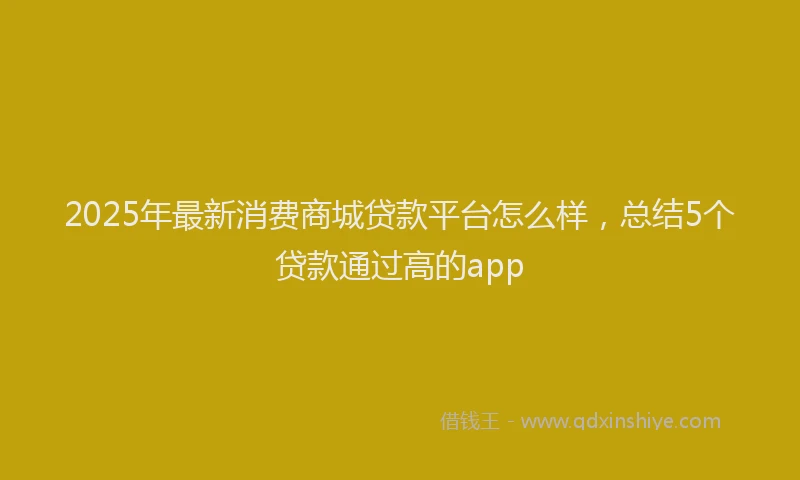 2025年最新消费商城贷款平台怎么样，总结5个贷款通过高的app