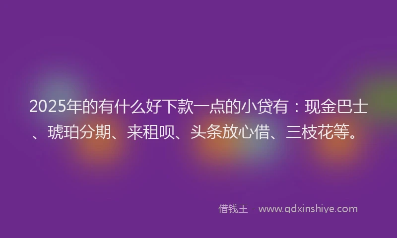 2025年的有什么好下款一点的小贷有：现金巴士、琥珀分期、来租呗、头条放心借、三枝花等。