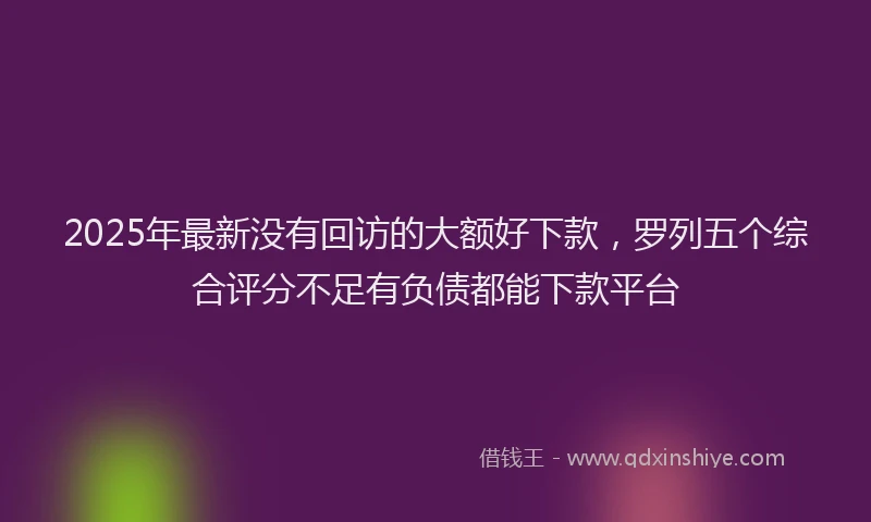 2025年最新没有回访的大额好下款，罗列五个综合评分不足有负债都能下款平台
