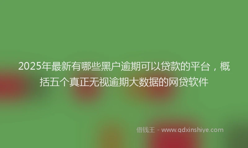 2025年最新有哪些黑户逾期可以贷款的平台，概括五个真正无视逾期大数据的网贷软件