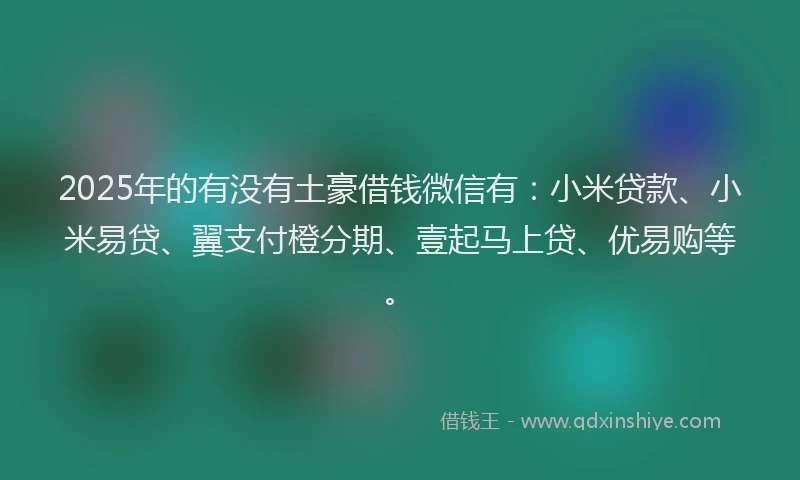 2025年的有没有土豪借钱微信有：小米贷款、小米易贷、翼支付橙分期、壹起马上贷、优易购等。