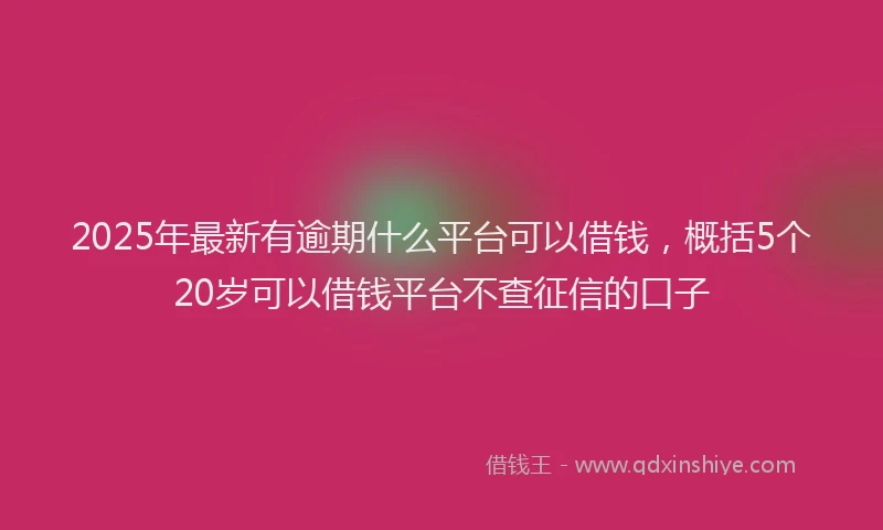 2025年最新有逾期什么平台可以借钱，概括5个20岁可以借钱平台不查征信的口子