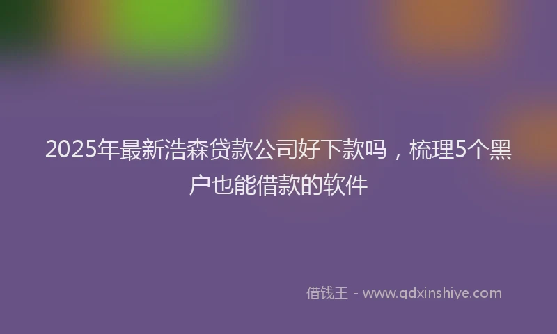 2025年最新浩森贷款公司好下款吗，梳理5个黑户也能借款的软件