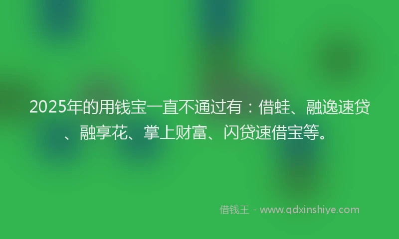 2025年的用钱宝一直不通过有：借蛙、融逸速贷、融享花、掌上财富、闪贷速借宝等。
