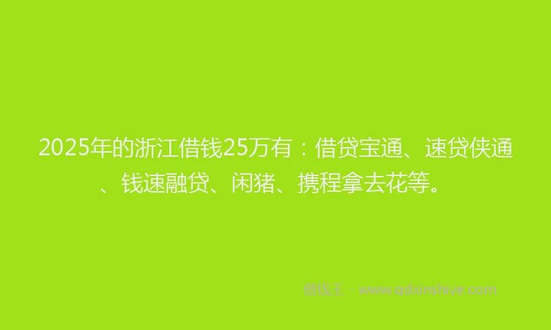 2025年的浙江借钱25万有：借贷宝通、速贷侠通、钱速融贷、闲猪、携程拿去花等。