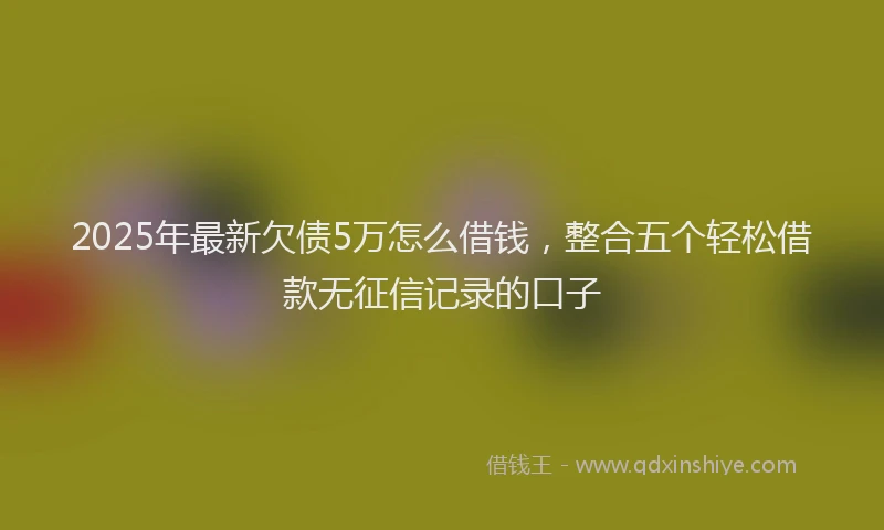 2025年最新欠债5万怎么借钱，整合五个轻松借款无征信记录的口子