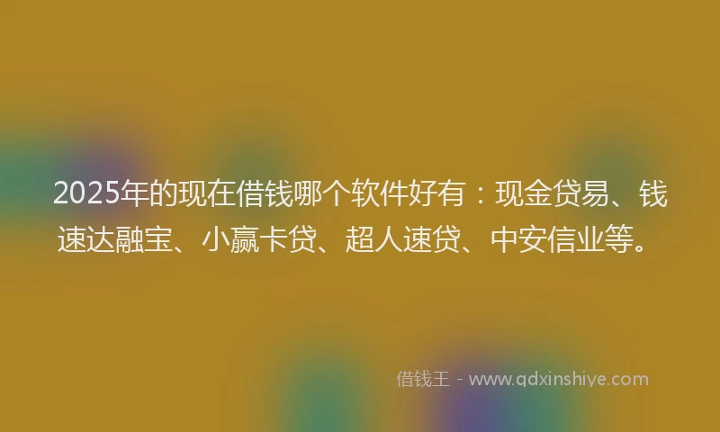 2025年的现在借钱哪个软件好有：现金贷易、钱速达融宝、小赢卡贷、超人速贷、中安信业等。