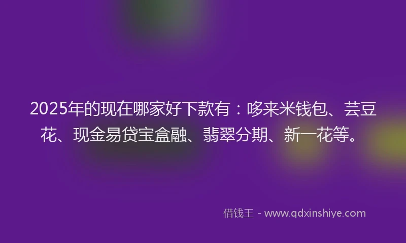 2025年的现在哪家好下款有：哆来米钱包、芸豆花、现金易贷宝盒融、翡翠分期、新一花等。