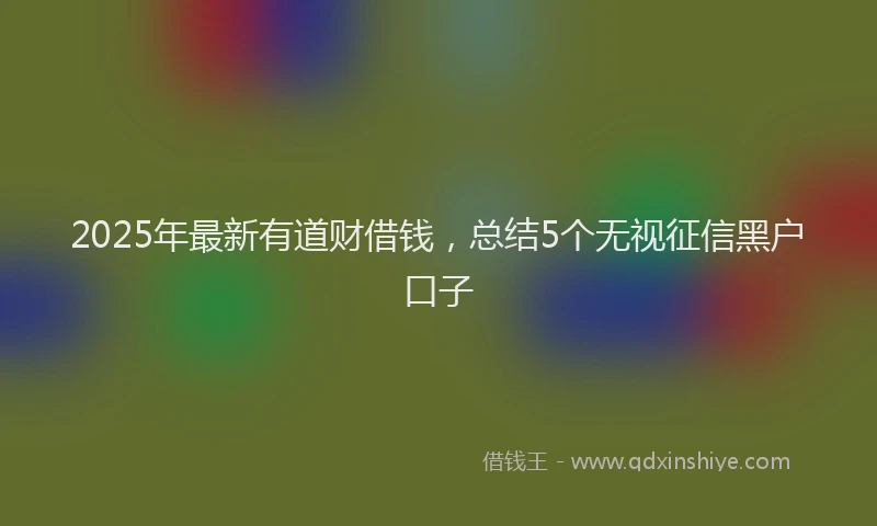 2025年最新有道财借钱，总结5个无视征信黑户口子