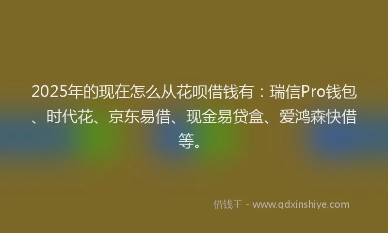 2025年的现在怎么从花呗借钱有：瑞信Pro钱包、时代花、京东易借、现金易贷盒、爱鸿森快借等。