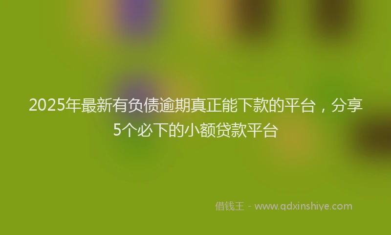 2025年最新有负债逾期真正能下款的平台，分享5个必下的小额贷款平台