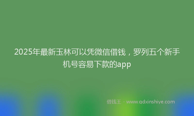 2025年最新玉林可以凭微信借钱，罗列五个新手机号容易下款的app