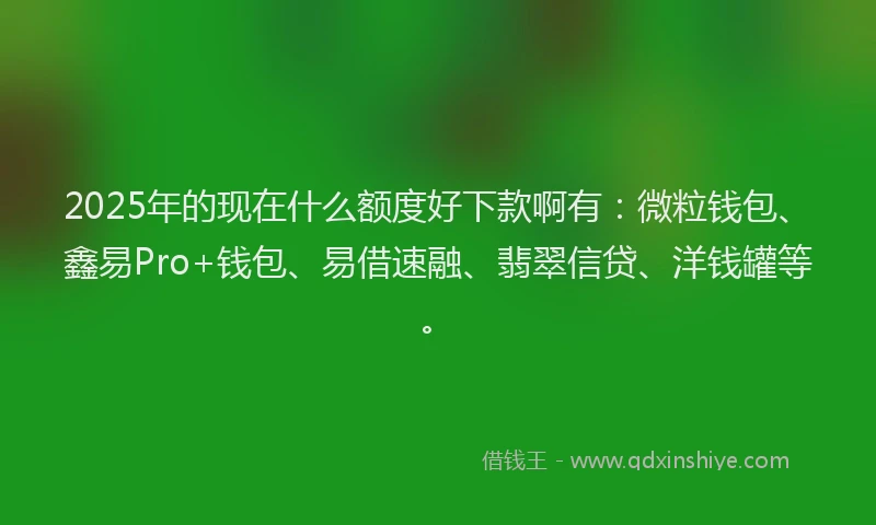 2025年的现在什么额度好下款啊有：微粒钱包、鑫易Pro+钱包、易借速融、翡翠信贷、洋钱罐等。