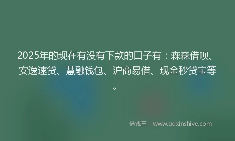 2025年的现在有没有下款的口子有：森森借呗、安逸速贷、慧融钱包、沪商易借、现金秒贷宝等。