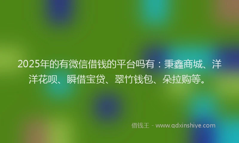 2025年的有微信借钱的平台吗有：秉鑫商城、洋洋花呗、瞬借宝贷、翠竹钱包、朵拉购等。