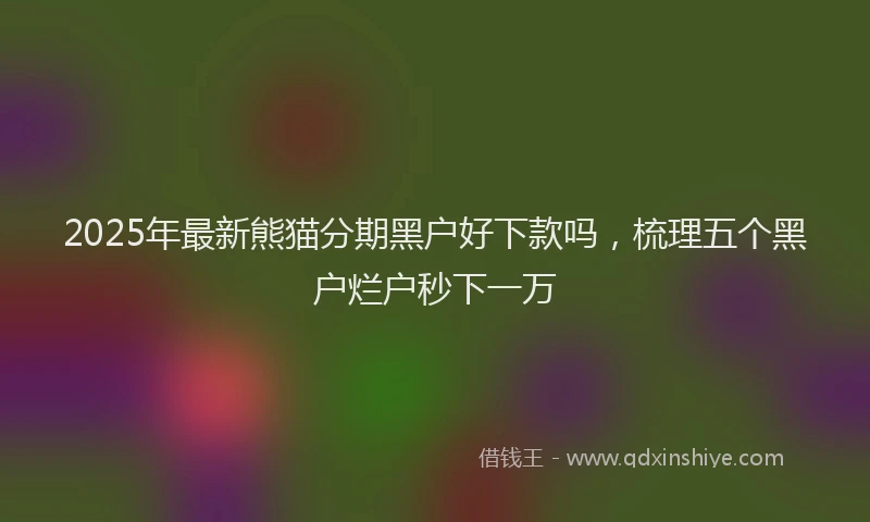 2025年最新熊猫分期黑户好下款吗，梳理五个黑户烂户秒下一万