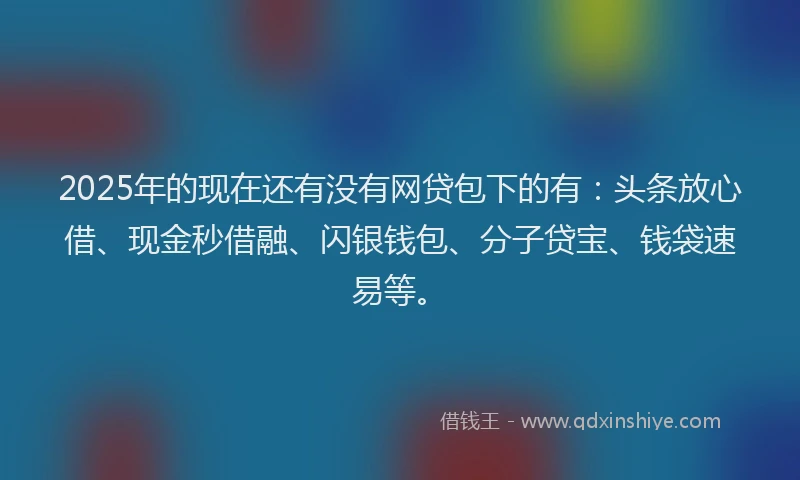 2025年的现在还有没有网贷包下的有：头条放心借、现金秒借融、闪银钱包、分子贷宝、钱袋速易等。